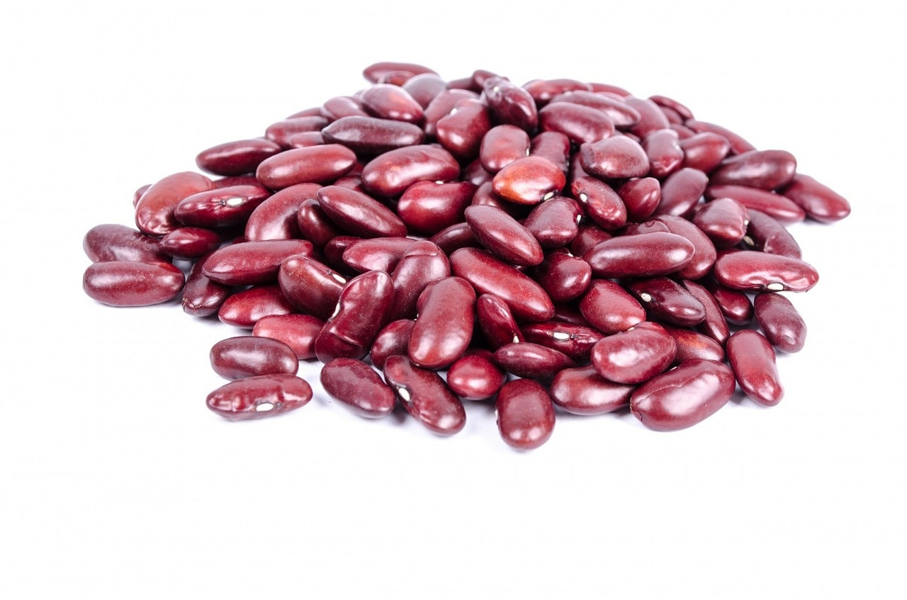 Kidney Bean